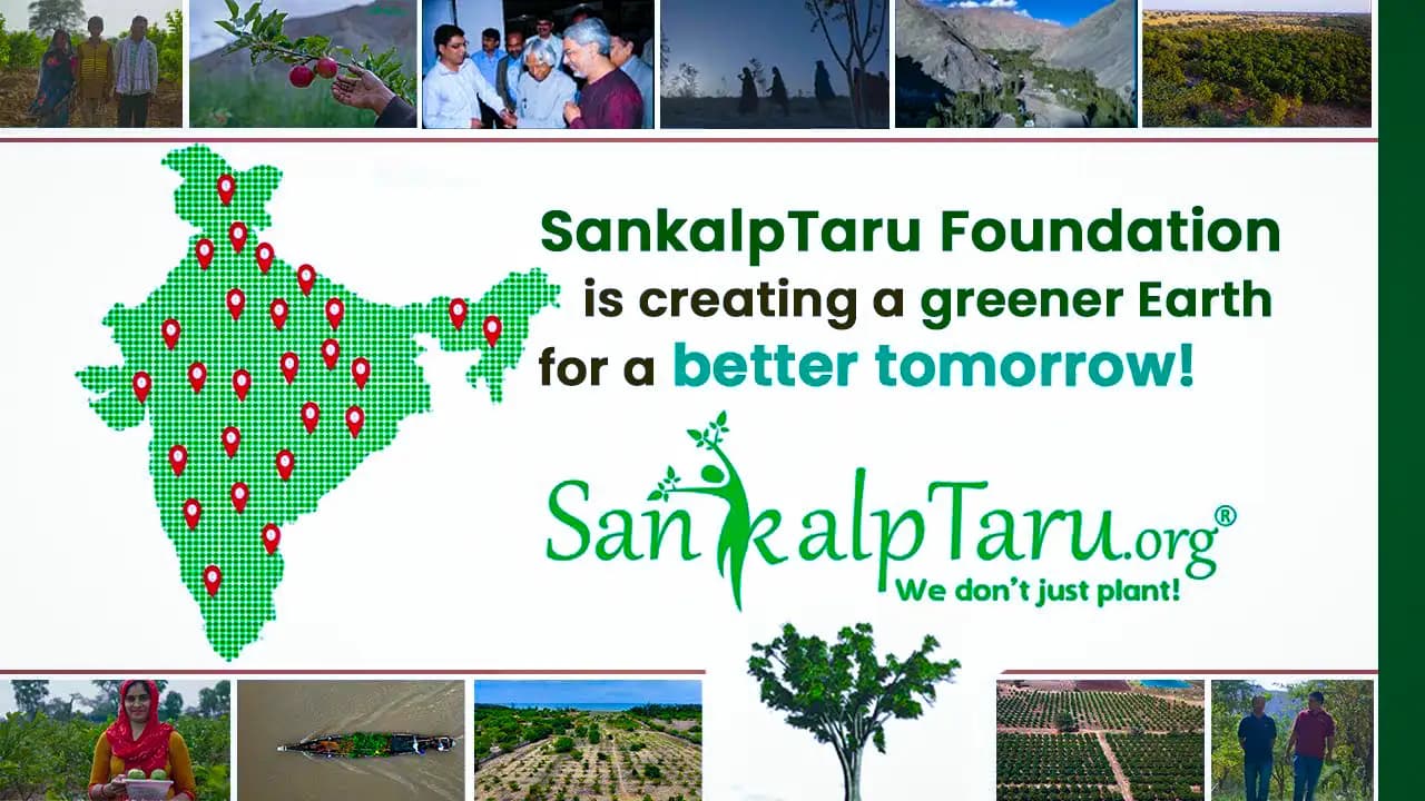 Environmental Sustainability